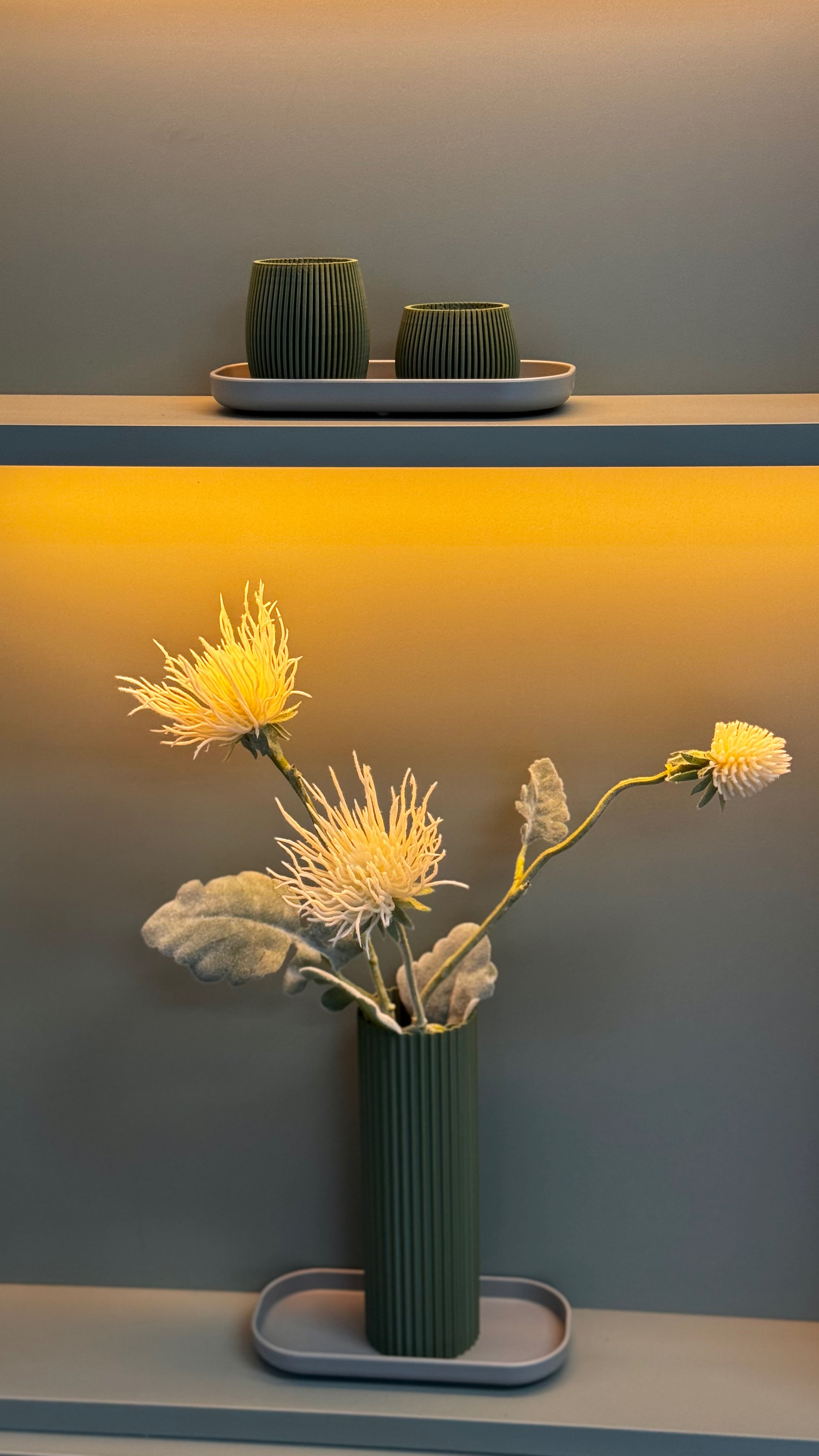 Bella Nostra Clínica