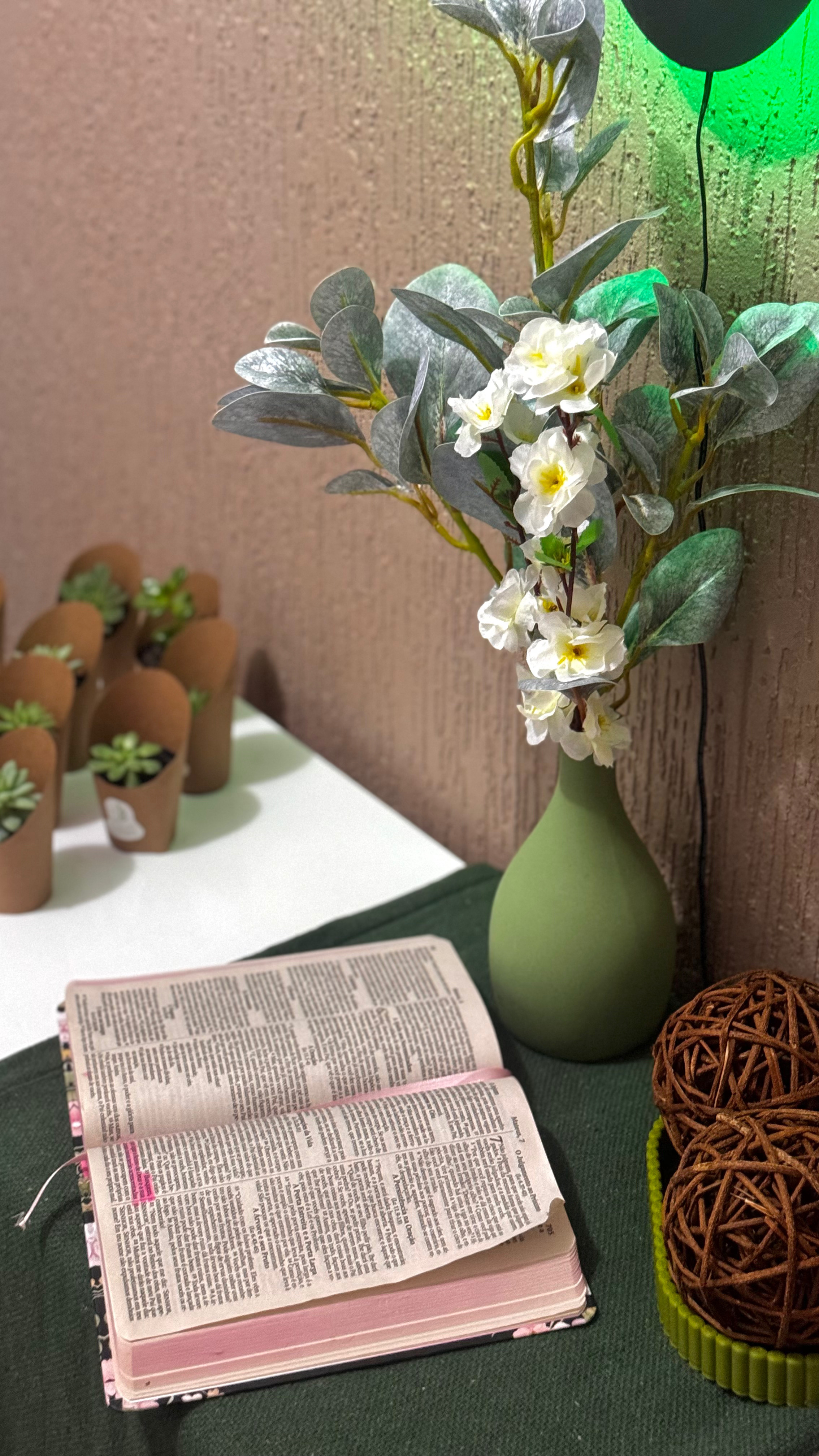 Bella Nostra Clínica