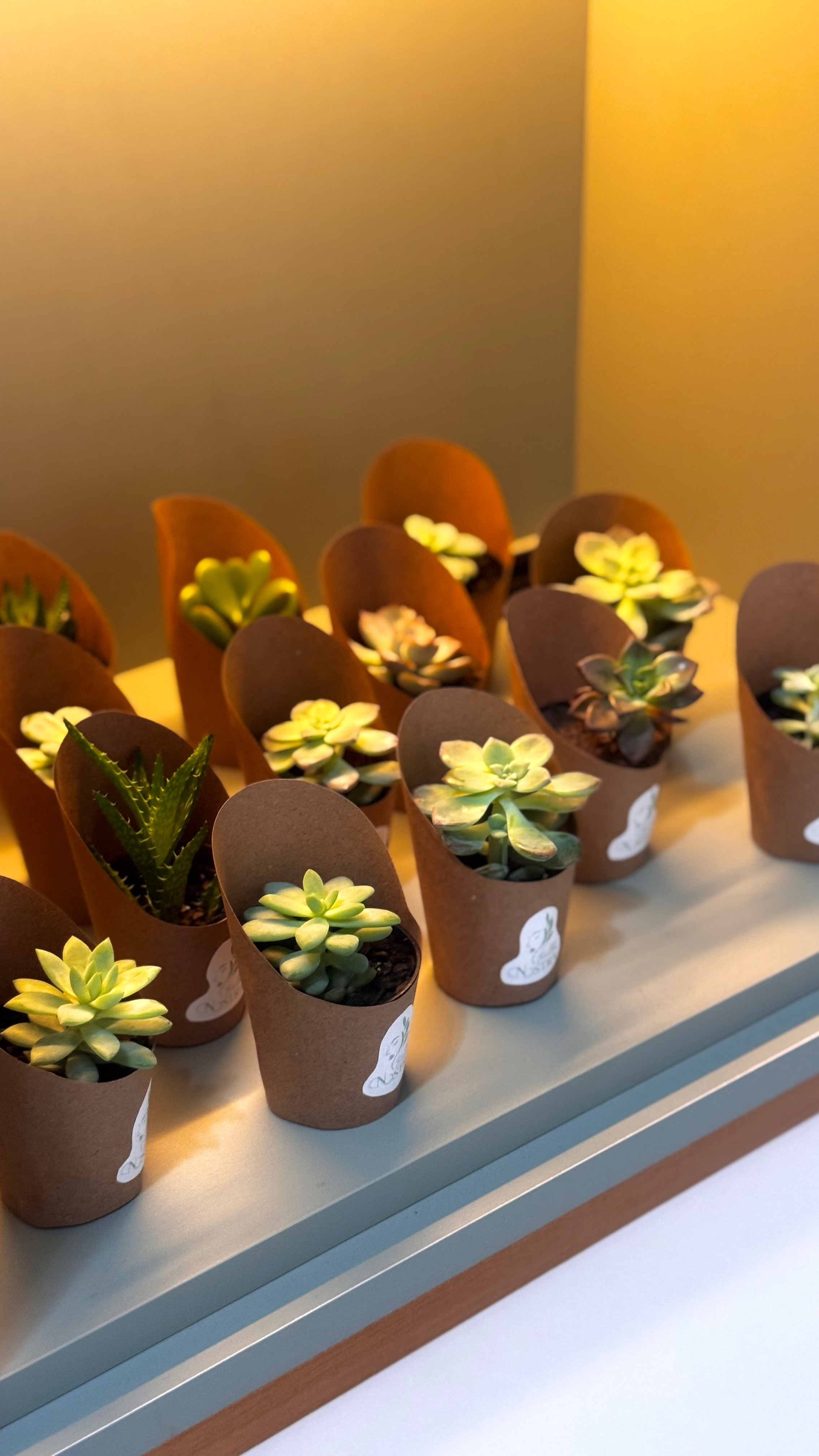 Bella Nostra Clínica